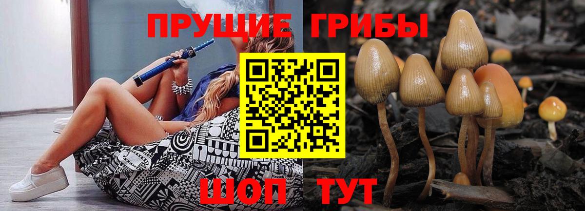Псилоцибиновые грибы Cubensis  Вход с VPN  Городец 